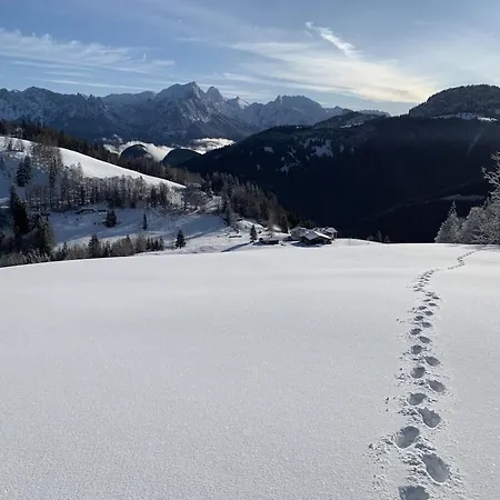 Casa vacanze Haeuselhorn Moarhof *