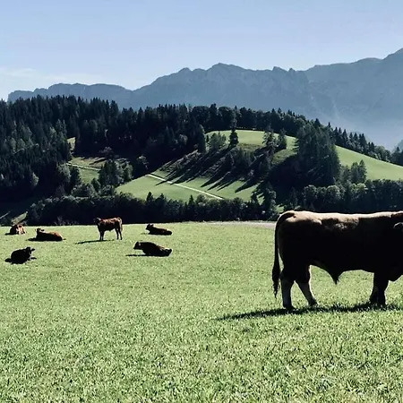 Haeuselhorn Moarhof Casa vacanze