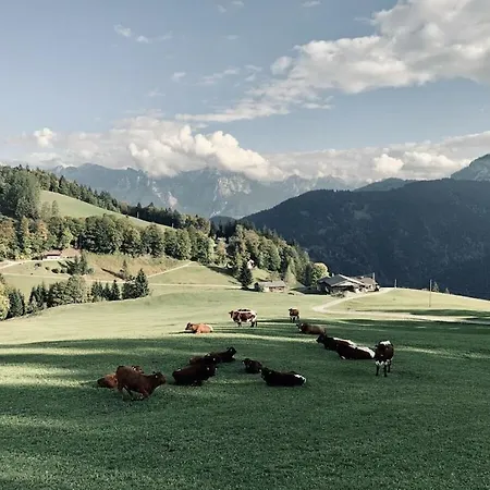 Casa vacanze Haeuselhorn Moarhof
