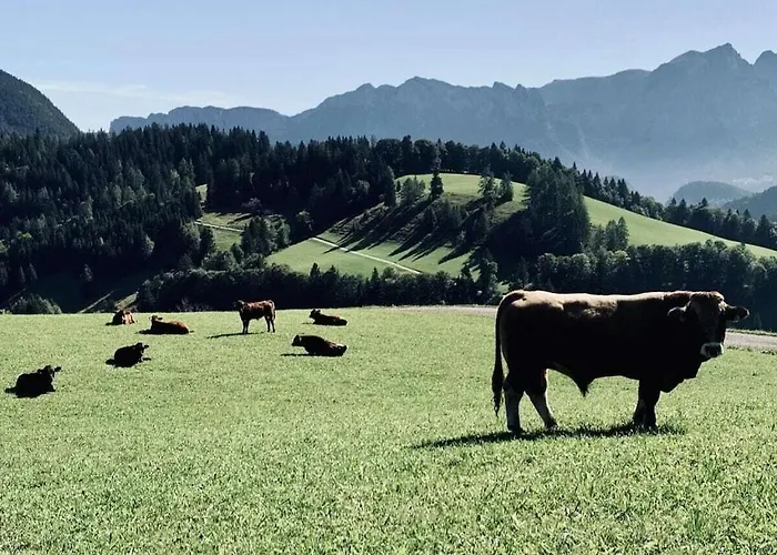 Haeuselhorn Moarhof Casa vacanze